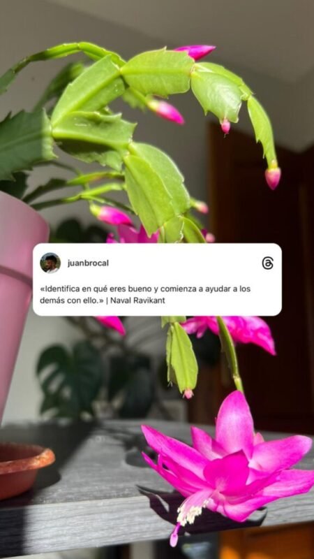 Frase (19) Frase (19)