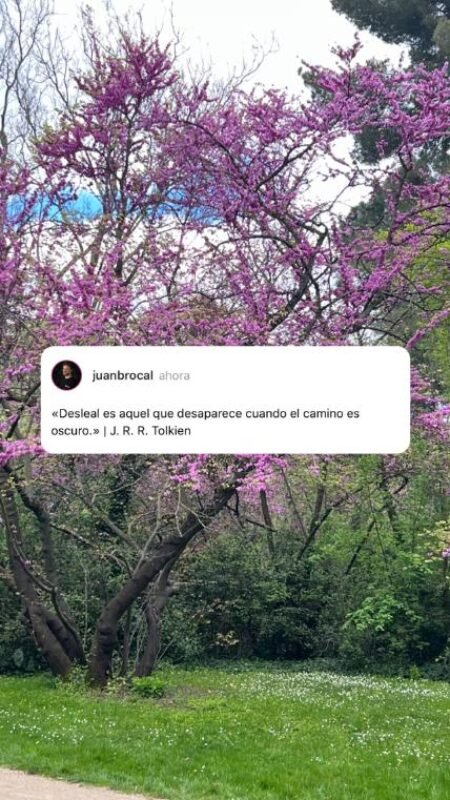 Frase (22) Frase (22)