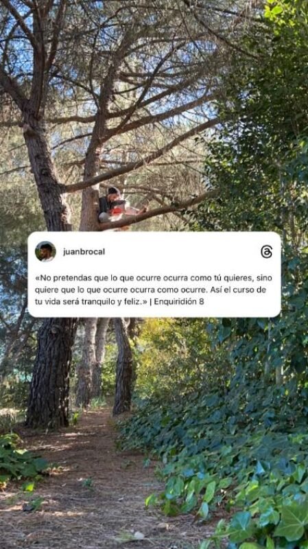 Frase (28) Frase (28)