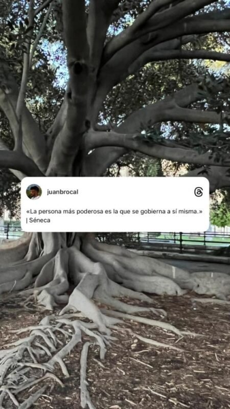 Frase (33) Frase (33)