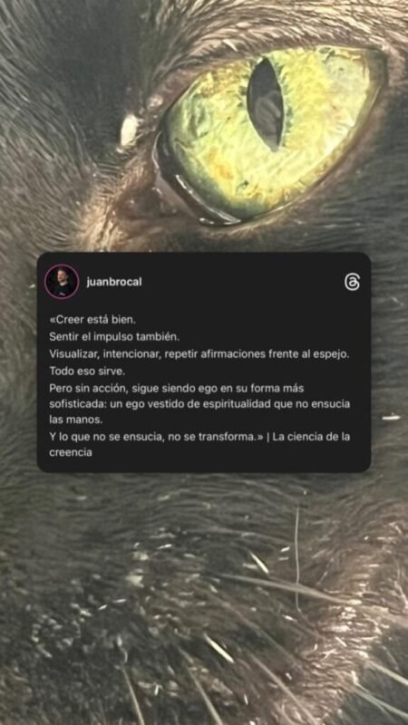 Frase (36) Frase (36)